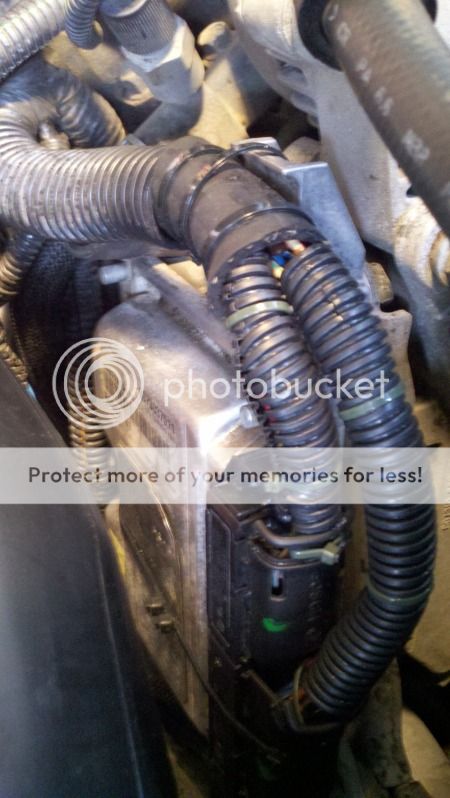 Loud knock! - Chevy and GMC Duramax Diesel Forum ficm wiring harness 