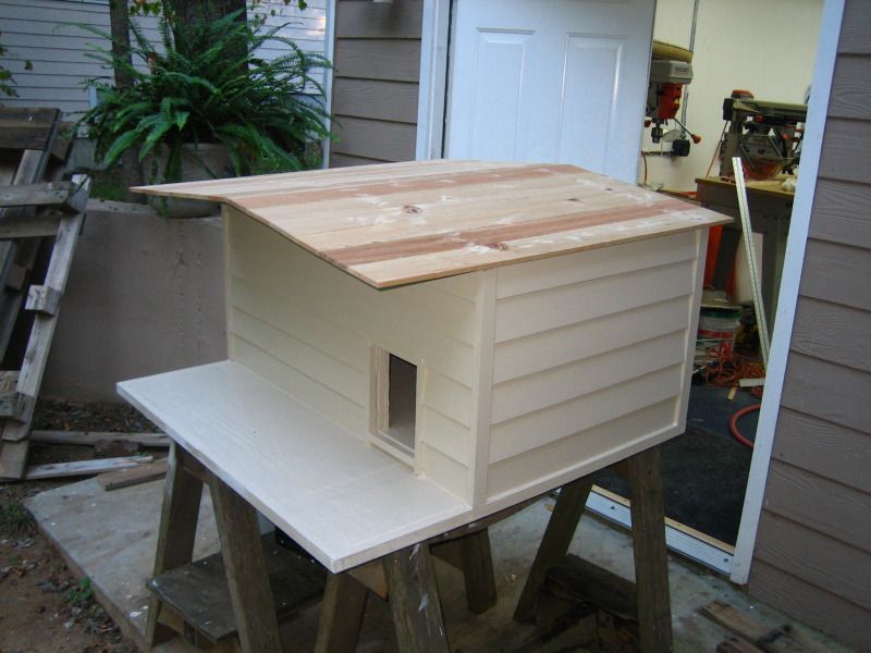 Outdoor Cat Shelter Ideas | Woodworking Talk