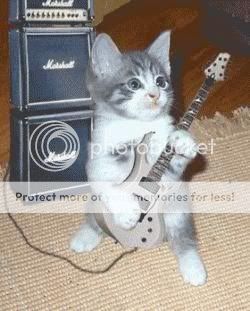 cat_guitar.jpg