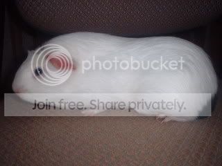 DSCF0002-2.jpg