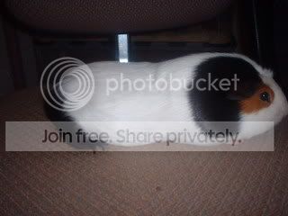 DSCF0003-1.jpg