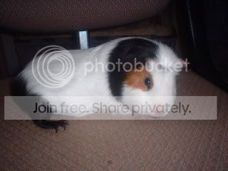 DSCF0004-2.jpg