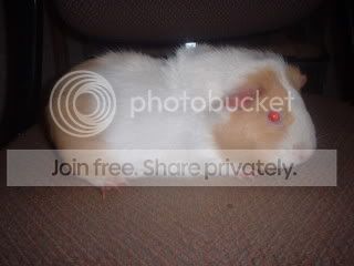 DSCF0005-1.jpg