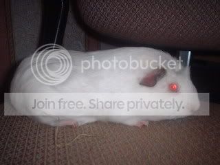 DSCF0010-1.jpg