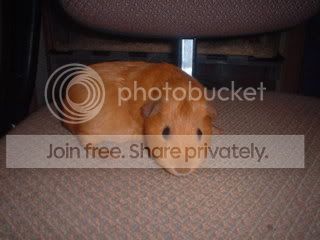 DSCF0011-1.jpg
