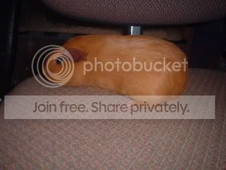 DSCF0012-1.jpg
