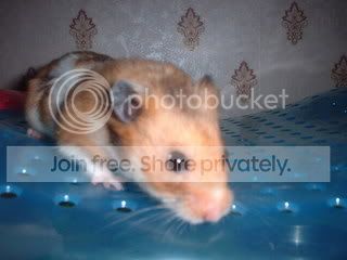 DSCF0017.jpg