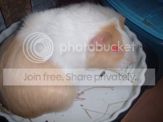 DSCF0128.jpg