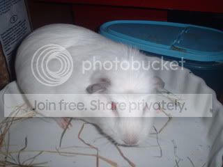 DSCF0133.jpg