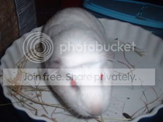 DSCF0135-1.jpg