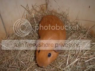 DSCF0147-2.jpg