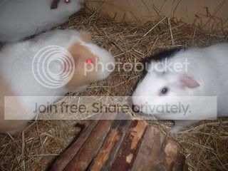 DSCF0150.jpg