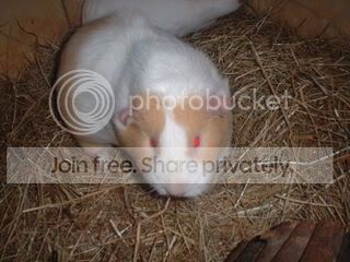 DSCF0151-2.jpg