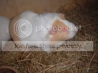 DSCF0153.jpg