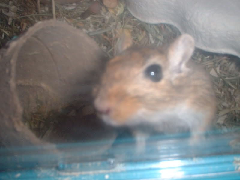 DSCF0168.jpg