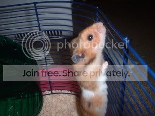 DSCF0177-3.jpg