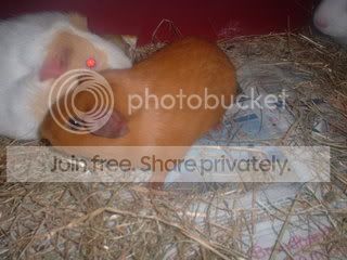 DSCF0218.jpg