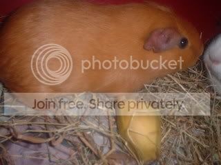 DSCF0221-1.jpg