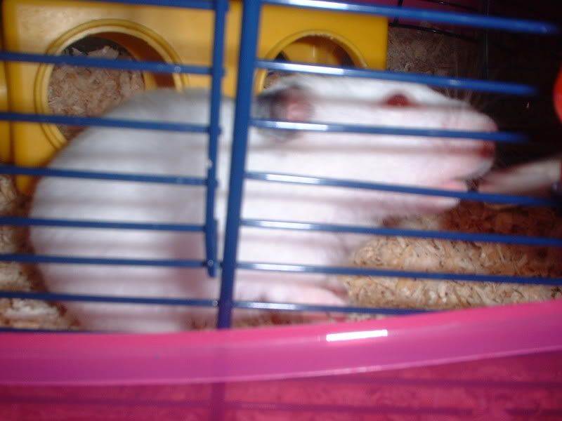 DSCF0248.jpg