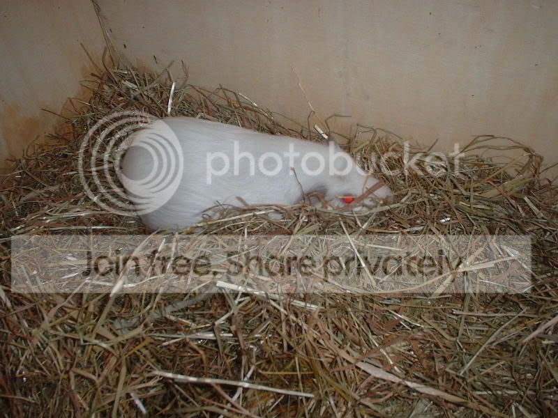 DSCF0426.jpg