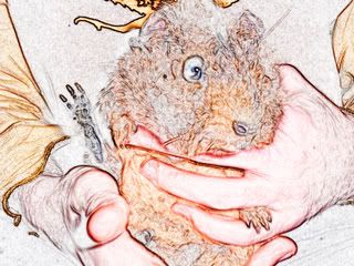 DSCF0185-1.jpg