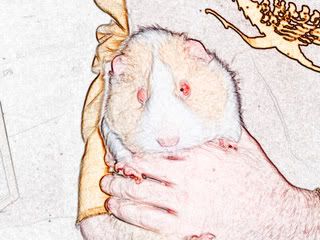 DSCF0188-1.jpg