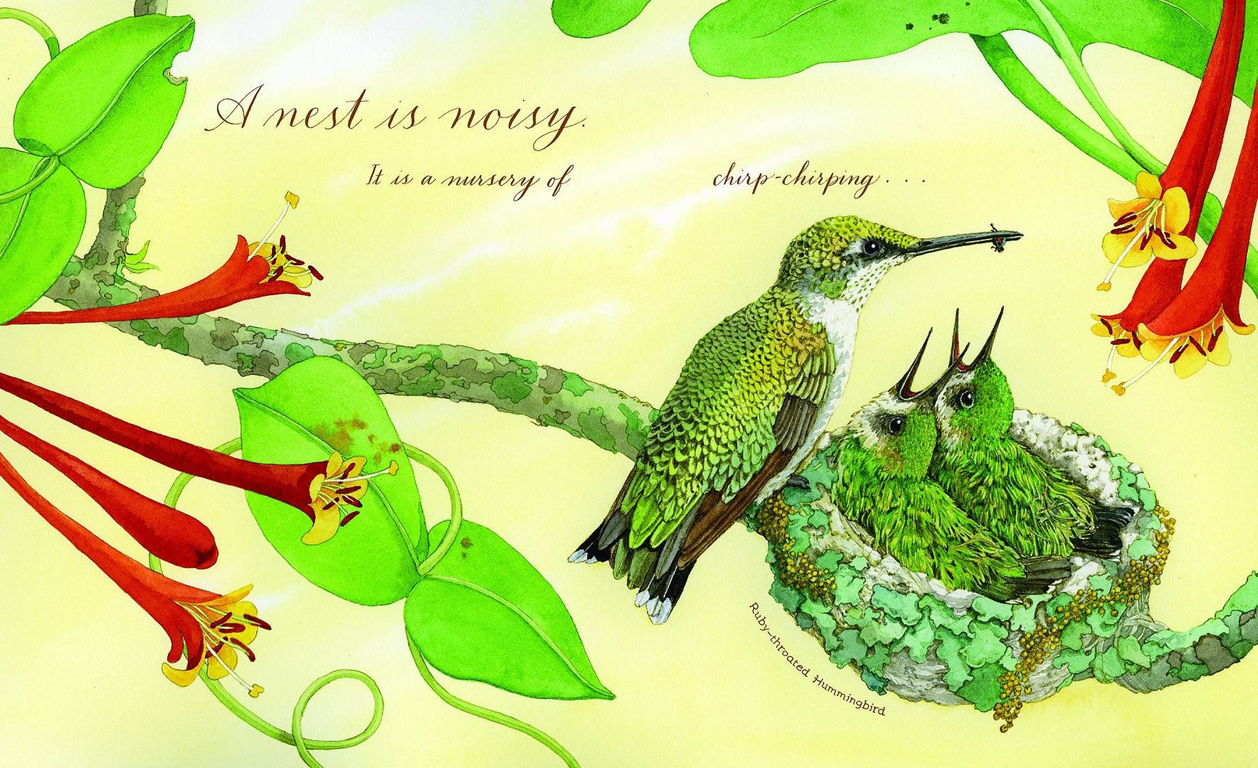 A Nest is Noisy: A perfect new children's picture book for spring
