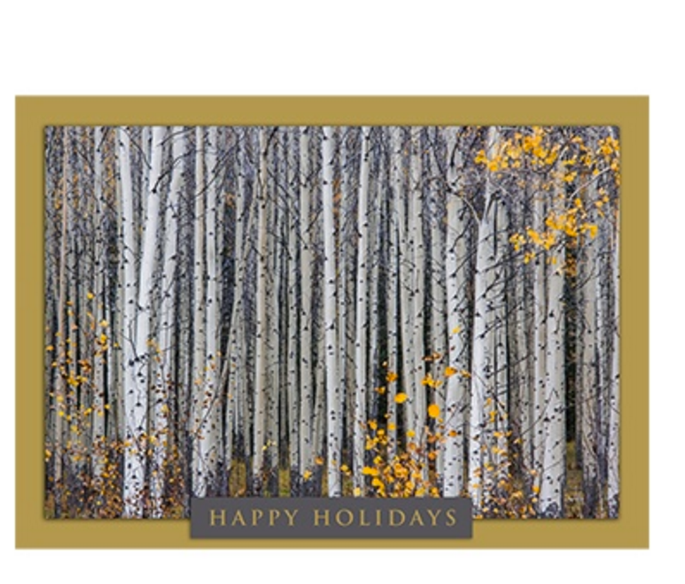 Gifts that give back: Aspen tree holiday card set supports the National Wildlife Foundation