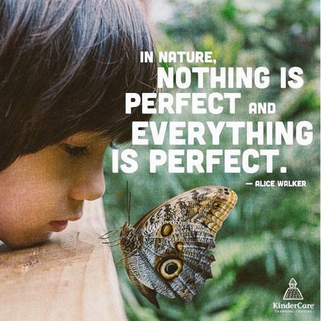 In nature, nothing is perfect and everything is perfect - Alice Walker