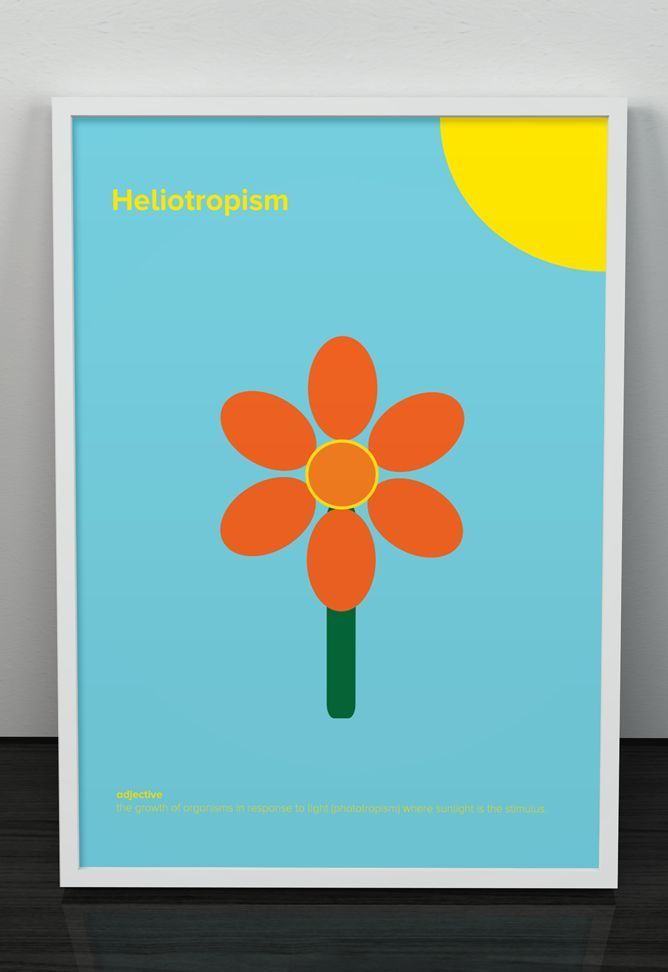 Mick Watson minimalist vocabulary posters for children: Heliotropism