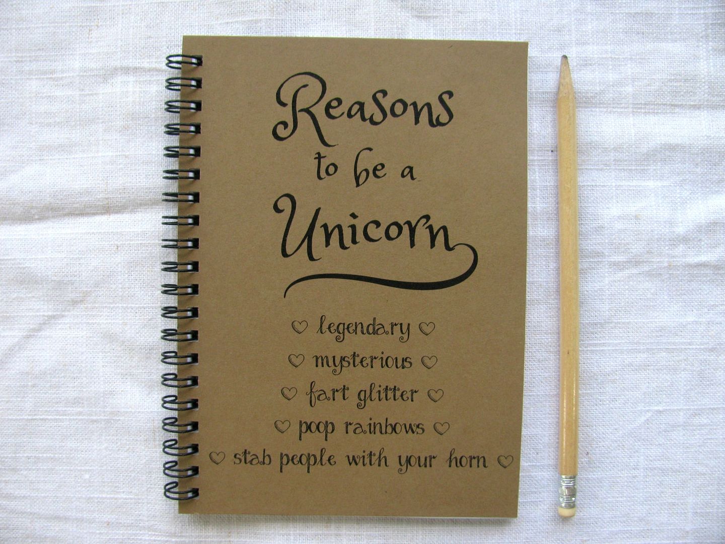 Reasons to be a unicorn journal | awesome little gift for $6!