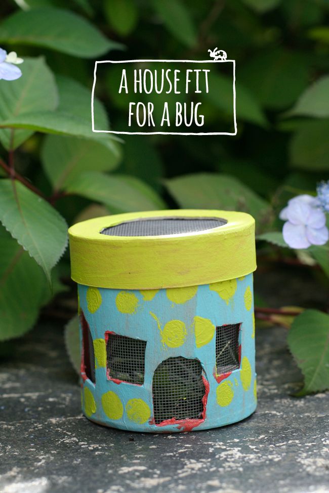 Make your own bug house | Cool summer crafts for kids