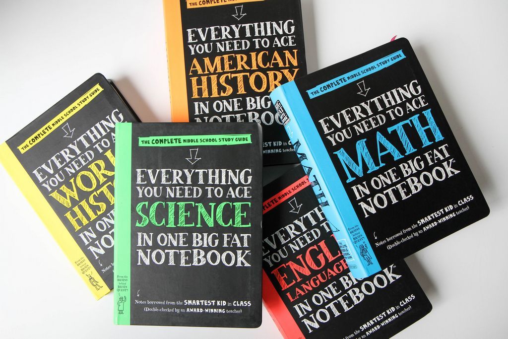 the Big Fat Notebook series: Like Cliff Notes for kids, only better