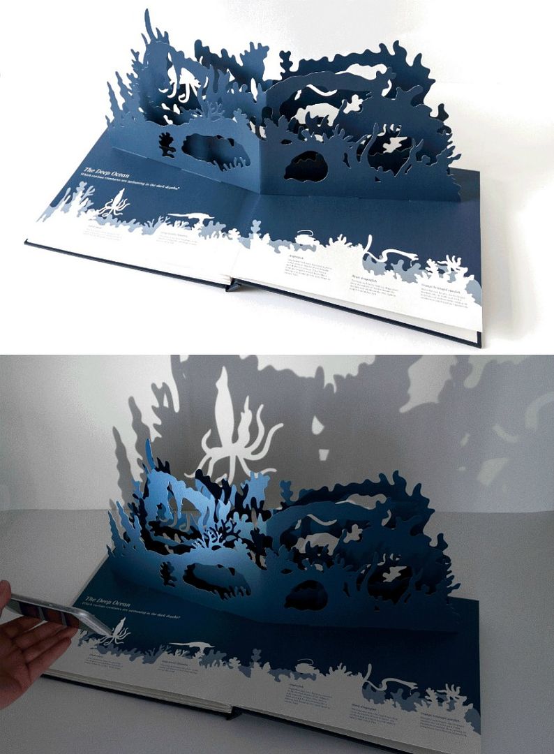The Midnight Creatures Pop-Up Book is so cool! Shine a flashlight through and kids can search for the nocturnal animals hidden in the cut paper