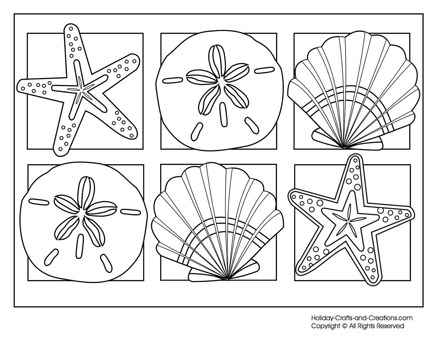 Free summer coloring pages: 6 seashells 