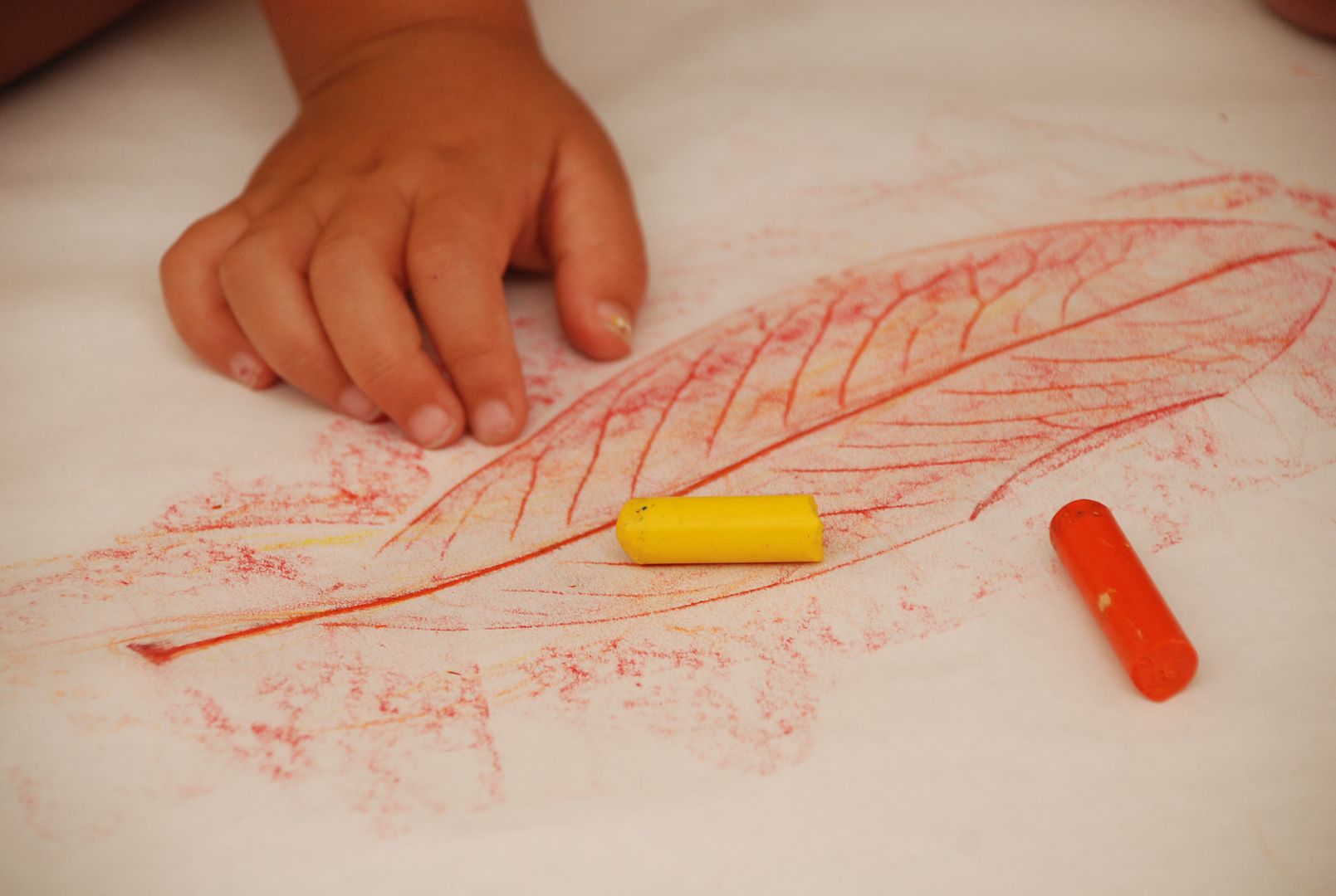 Leaf Rubbing DIY Craft for Kids with some neat variations | via Meri Cherry