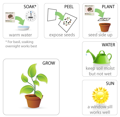 Plant Stamps instructions: Stick them on stationery then later you can plant them