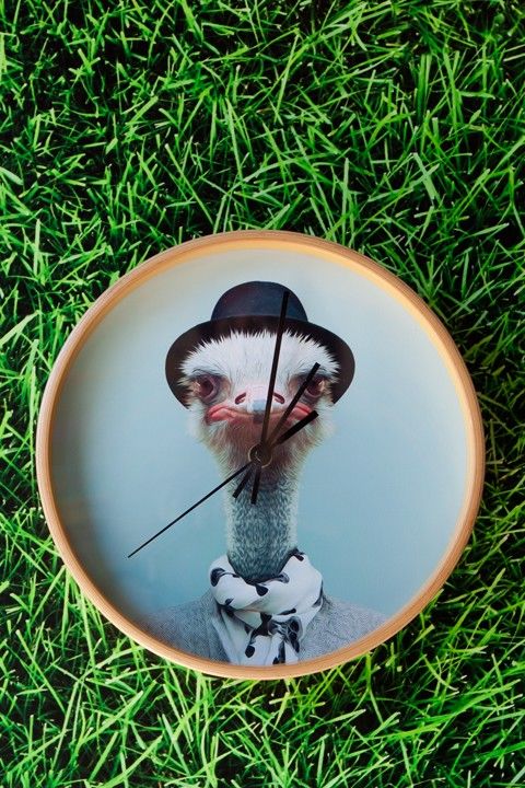 Zoo portrait animal clocks: Ostrich in a bowler