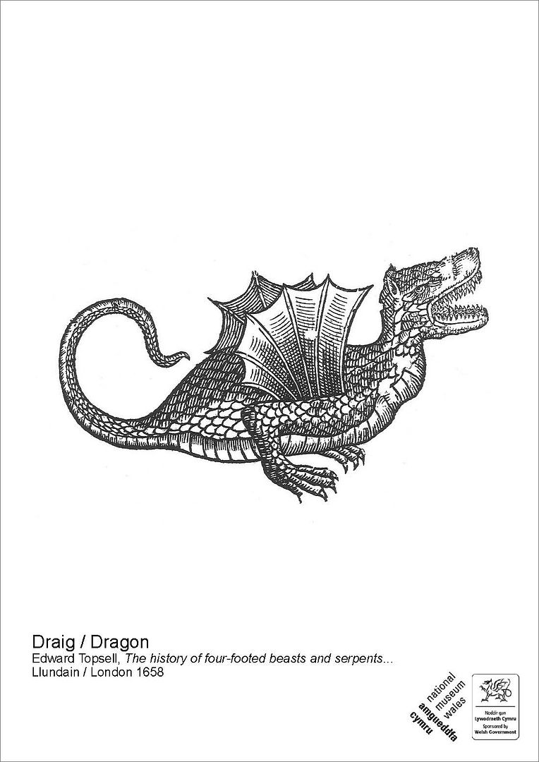 Free #colorourcollections printable dragon coloring page from the University of Wales Collection
