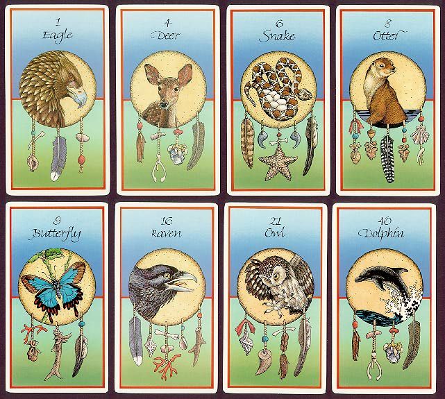 Medicine Cards by David Carson: A beautiful method of divination based on Native American animal totems + spiritual guidance