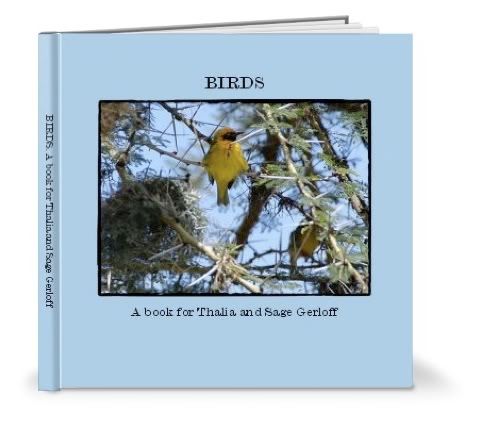 Learning photobook by Shutterfly - custom kids' book