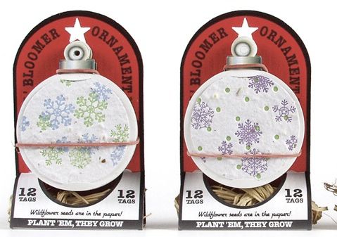 Eco-friendly plantable gift tags grow wildflowers