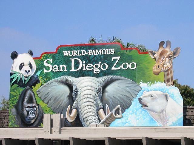 san diego zoo | cool mom picks
