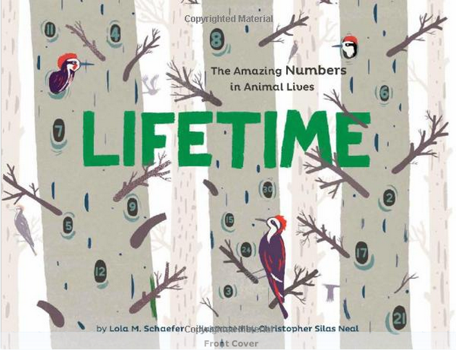 LIFETIME: The Amazing Numbers in Animal Lives | Cool Mom Picks