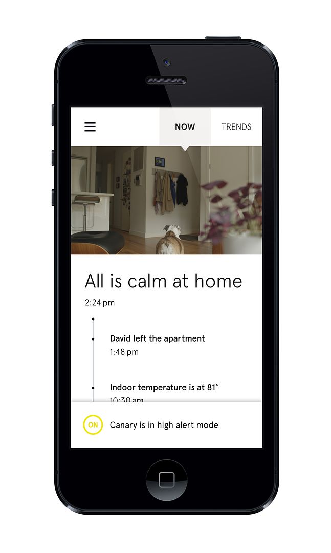 Canary Home Security check-in app | Cool Mom Tech