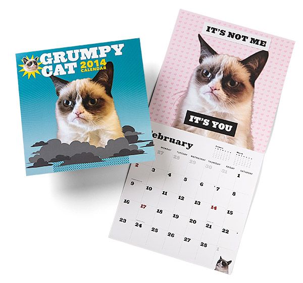 Geeky stocking stuffers - Grumpy Cat calendar | Cool Mom Tech