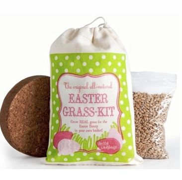 Grow your own easter grass