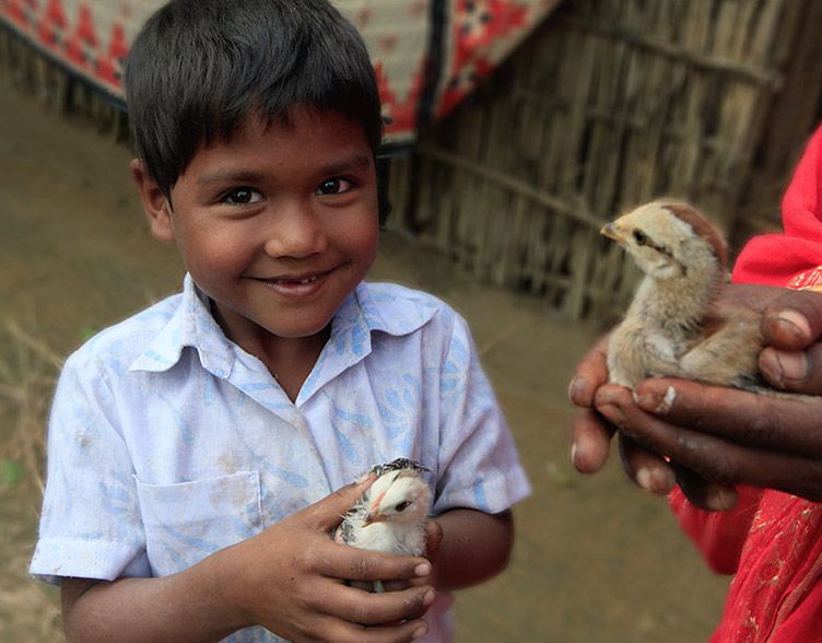 Father's Day gifts under $25: Flock of Chicks in his honor donated to a family in need through Heifer Int'l