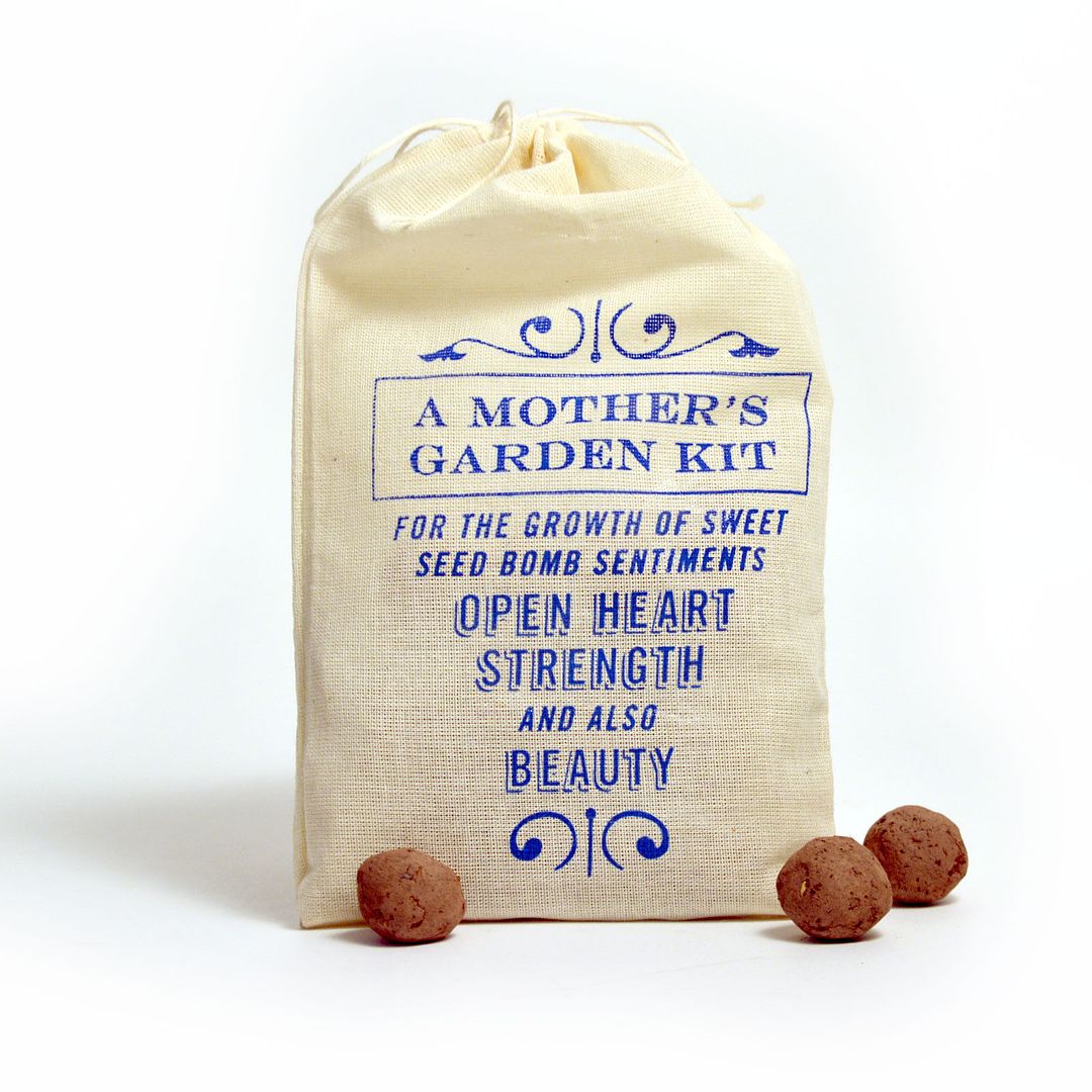 Mother's Day gift idea | Mother's Garden gift bag of seedbombs