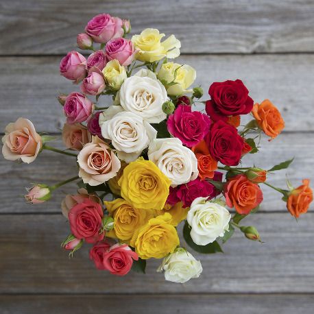Spray roses from the Bouqs: Fresh, locally grown, and only $10 more to double the order